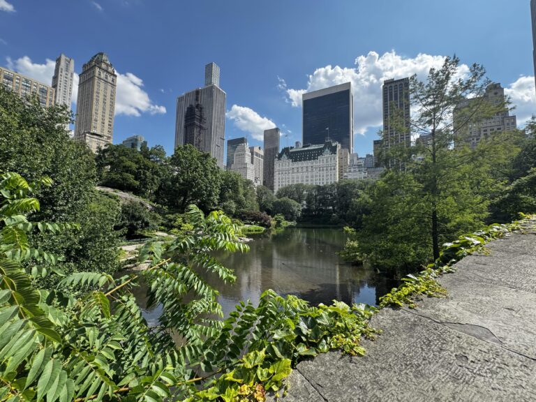 View of NYC buildings fro Central Park, travel essentials